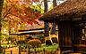 周辺：蘆花恒春園