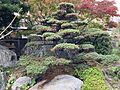 庭園風庭