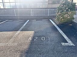 5 / 12