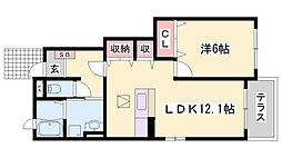 アメニティカスガ5 1LDKの間取図画像