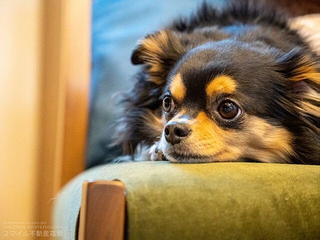 その他 エバーライフ久留米中央II 5階/-