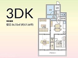 ライオンズマンション大名 3DKの間取図画像