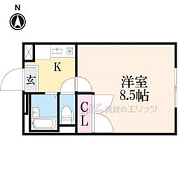 レオパレスルピナス・II