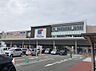 周辺：スーパー万代　上野芝店 660m