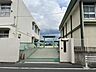 周辺：桜橋小学校 910m