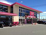 ザ・ダイソー岡山平田店 3899m