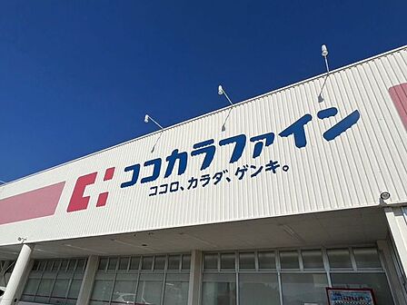 ココカラファイン 550m