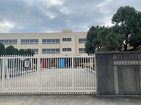 茨木市立穂積小学校(577m)