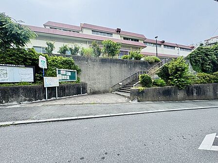 小坪小学校 徒歩11分。 850m