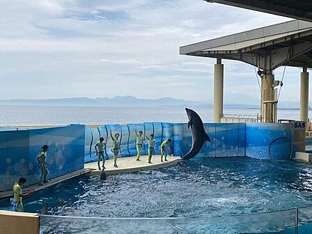 新江ノ島水族館まで車で15分　約5.9ｋｍ