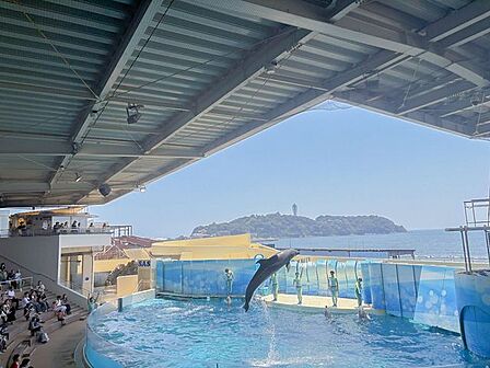 子どもの「楽しかった！」が増える休日になりそうですね！　新江ノ島水族館まで車で49分　28.9km