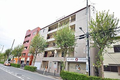 外観 外観