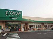 COOP　MIYAGI台原店 徒歩8分。 630m