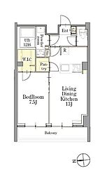 CLASSEUM(クラシアム)仙台新寺通 1LDKの間取図画像