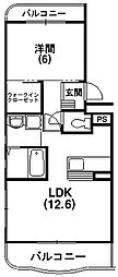 スプリングウインド 1LDKの間取図画像