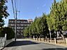 外観：公園の並木がいい雰囲気を出しています。
