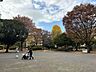 周辺：谷戸イチョウ公園 420m