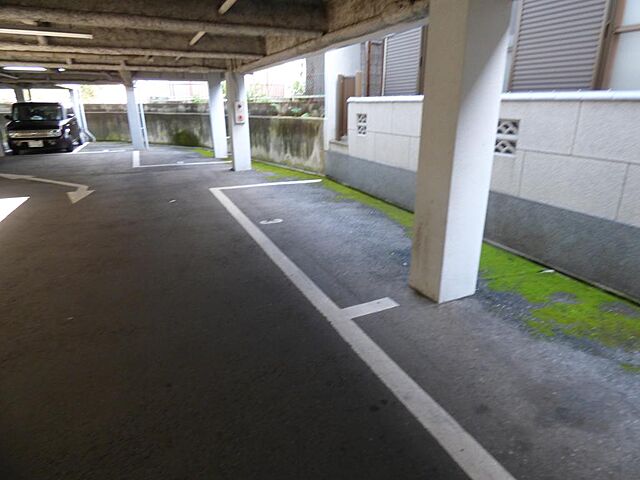 22 / 33