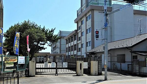 周辺を拡大表示