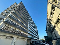 スプランディッドVII