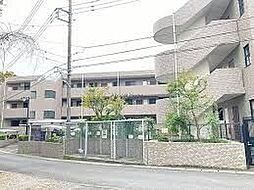 厚木市山際