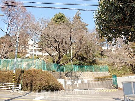 横浜市立谷本小学校 徒歩9分。●校地内には「谷本の森」と呼ばれる1.3haの学校林があり、豊かな自然と地域や保護者の方々の温かい思いに抱かれて、子どもたちは皆やさしく健やかに育っています● 710m