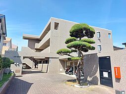 🉐敷金礼金0円！🉐スカール今村