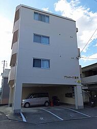 プリムローズ酒井