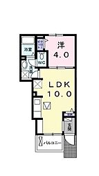 グレイスヌーヴォーW 1LDKの間取図画像