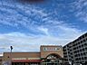 周辺：スーパー「TAIRAYA佐倉店まで327m」