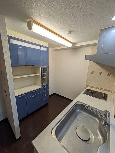使い勝手の良いシステムキッチン。作業スペースと収納力も確保。※本画像は居住中の物件であり、入居者様の家具をCGで消した画像も含まれます。