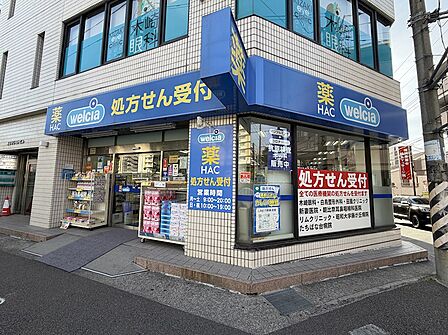 ハックドラッグ青葉台店(800m)