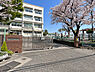 周辺：横浜市立樽町中学校（520m）