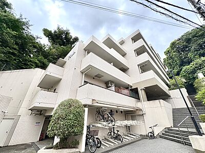 外観:外観 外観:外観