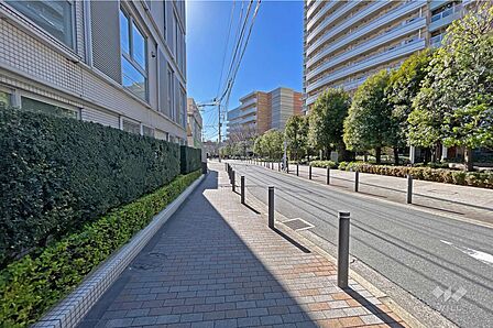 敷地の西側前面道路（北側から）