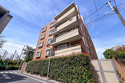 外観:ヒルズ千川の外観(南西側から) 外観:ヒルズ千川の外観(南西側から)