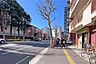 その他：敷地南側の前面道路（東側から）