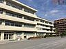 周辺：横浜市立南吉田小学校 徒歩16分。 1210m