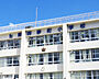 周辺：江東区立第四砂町小学校（295m）