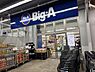 周辺：ビッグ・エー江東大島団地店（247m）