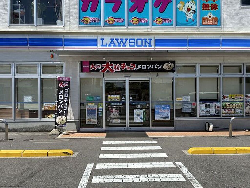 Image 11