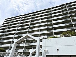 五日市ヒューマンズ