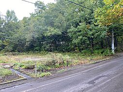 北軽井沢 土地