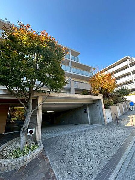 ゆったりとした動線で地下へ続く車路。車を大切に守る設計と、緑豊かな外構が魅力です。