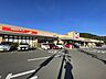 周辺：ヨークベニマル茂庭店様まで車で約9分。生鮮食品や日用品が揃っており、毎日のお買い物に便利ですね。 4310m