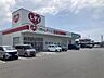 周辺：レデイ薬局椿店（453m）
