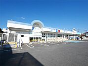 カワチ薬品 日立若葉店（294m）