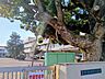 周辺：佐野市立旗川小学校 1830m