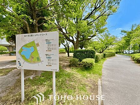 杁ケ池公園 徒歩6分。 470m