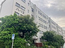 公社多摩川住宅ハ-13号棟 2DKの間取図画像